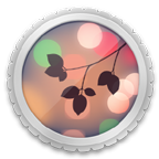 ����ɢ��2.0.4 רҵ�����