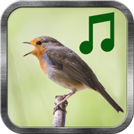 Bird SoundsB֙C(j)1.0 ׿°