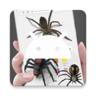 SpiderinPhone֩ĘW(wng)Чapp