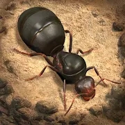 ССϹʷ2023°汾(The Ants)