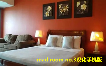 mad room no.3ֻ