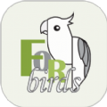 forbirds appعٷ2023°