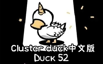 Cluster duckİ