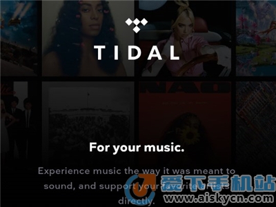 tidalmusicϫdMٷİ