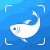 picture fish׿°v2.4.20׿