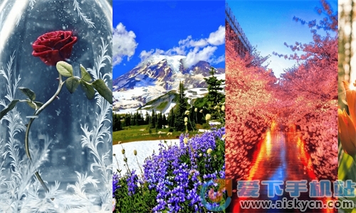 Flower Images׿İ