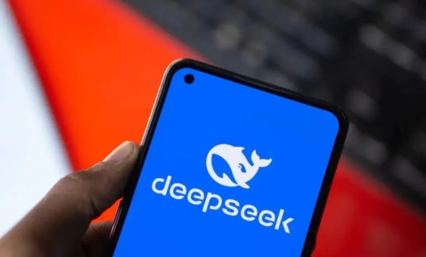 DeepSeekָģЩ 8ֳµĳָģ