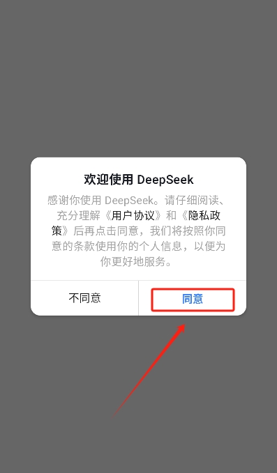 (DeepSeek)ذ׿