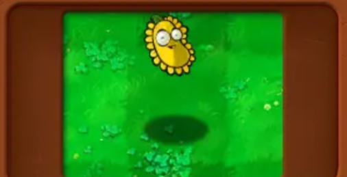 ֲ(zhn)ʬsֲ(qing) ֲ(zhn)ʬsĂֲ(qing)