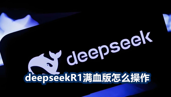 deepseekR1Ѫ2025°