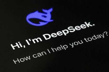 DeepSeekָģЩ 8ֳµĳָģ