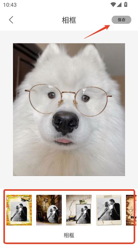 zƬ͹Capp͑d