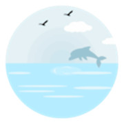 �ֻ�������ҳ������1.0.0