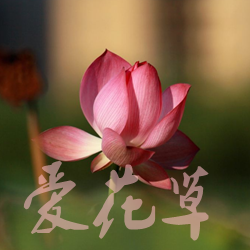 �����ݹٷ���appv5.2��׿��