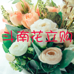 ���ϻ������̳�app1.0.3 ��׿��