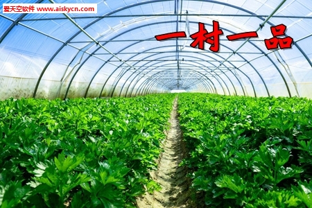 һ��һƷʵʩ����app