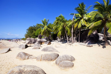 智游海南一部手机游海南app 智游海南一部手机游海南app