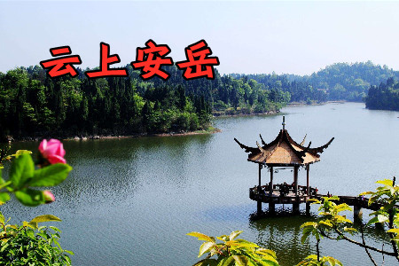 ������ý���ϰ���app