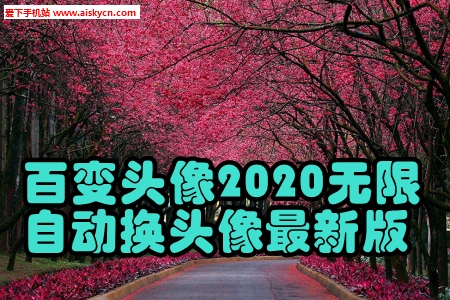 �ٱ�ͷ��2020�����Զ���ͷ�����°�