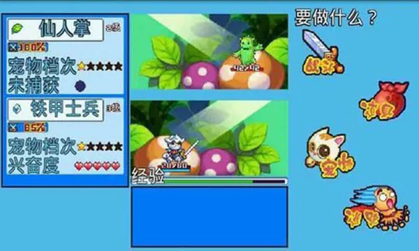 宠物王国5彩虹2025官方正版 宠物王国5彩虹2025官方正版