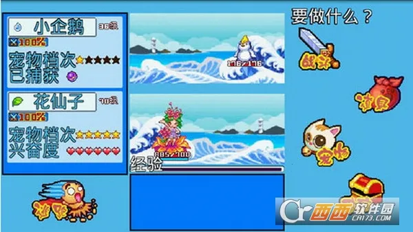 宠物王国5彩虹2025官方正版 宠物王国5彩虹2025官方正版