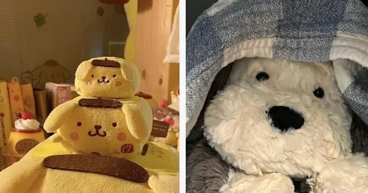 wall壁纸引擎2025下载安装 wall壁纸引擎2025下载安装