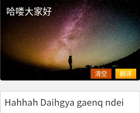 壮文翻译通(壮文互译工具) 壮文翻译通(壮文互译工具)