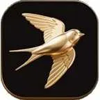 ɭ̾2025ٷ°汾v1.1.2 Ѱ