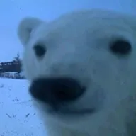 СԴ2025ٷ°汾v1.7.5 ׿