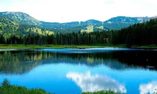 豆丁相机(拍照美化软件) 豆丁相机(拍照美化软件)