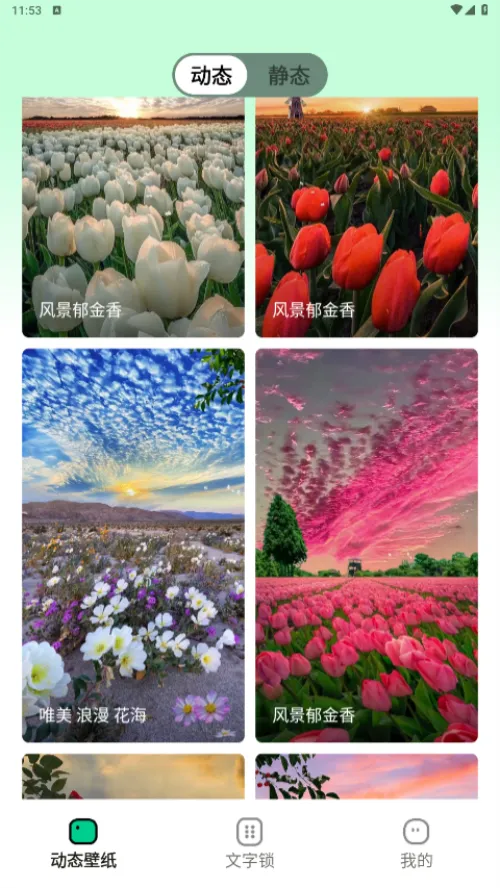 清风壁纸2025官方正版截图3