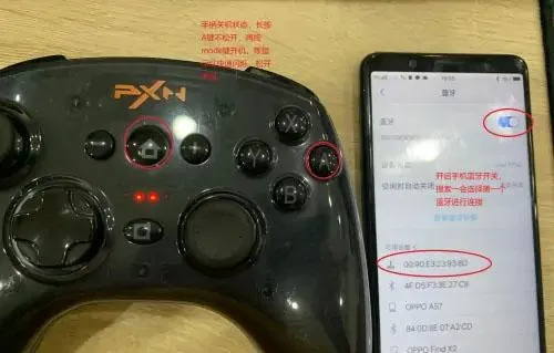 小鸡模拟器TV版 小鸡模拟器TV版