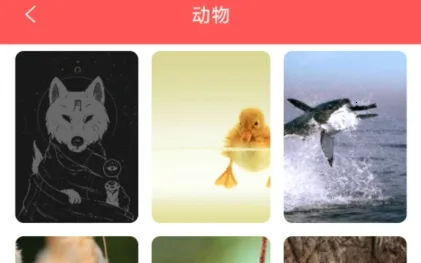 幻影壁纸安卓版手机版 幻影壁纸安卓版手机版