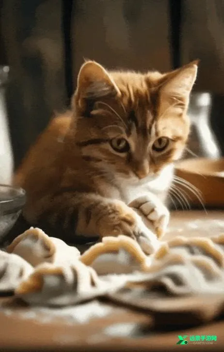 Kling ai���ʰ�