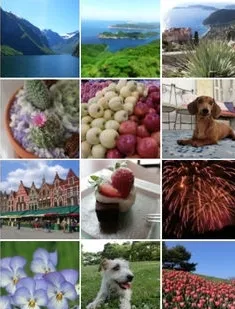 EXILIM Connect2026�ٷ�����