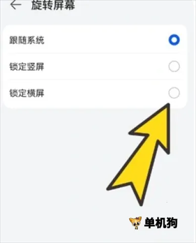 bobo�������ɫ��