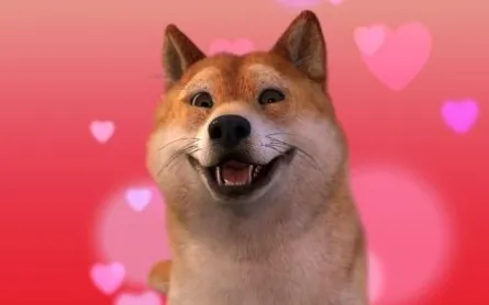 facerig�����ֻ���