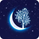 İ��ֱ������