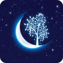 İ��ֱ������app