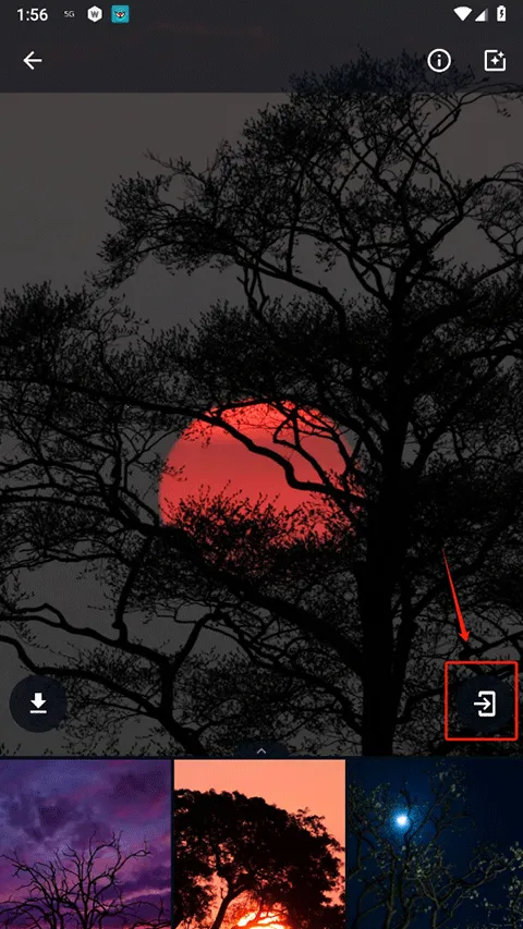 wallcraft��������