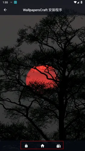 wallcraft��������