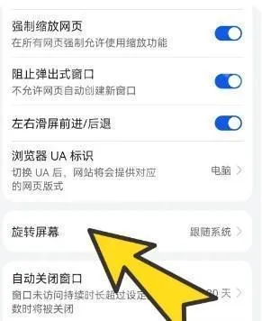 bobo������޹���ȫ��ͨ��ɫ��