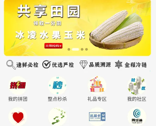 С��ͨ2026�ٷ�����