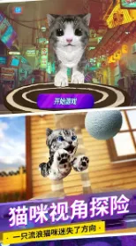 è�����ģ��