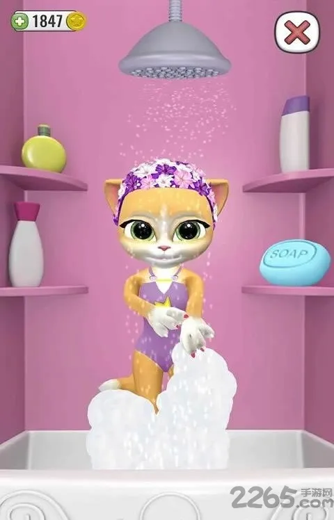 会说话的艾玛猫截图4