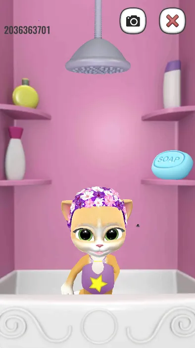 会说话的艾玛猫 会说话的艾玛猫