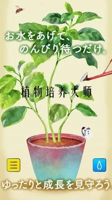 ֲ��������ʦ2026�ٷ�����