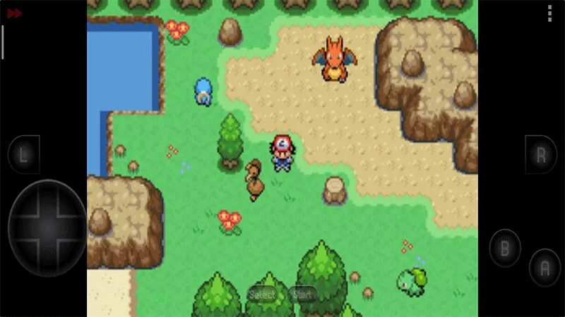 �ڴ���������Ⱥ��