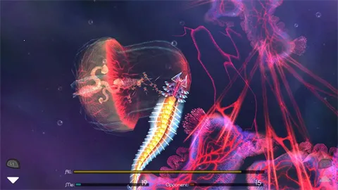 �𻨽���22026�ٷ����°汾