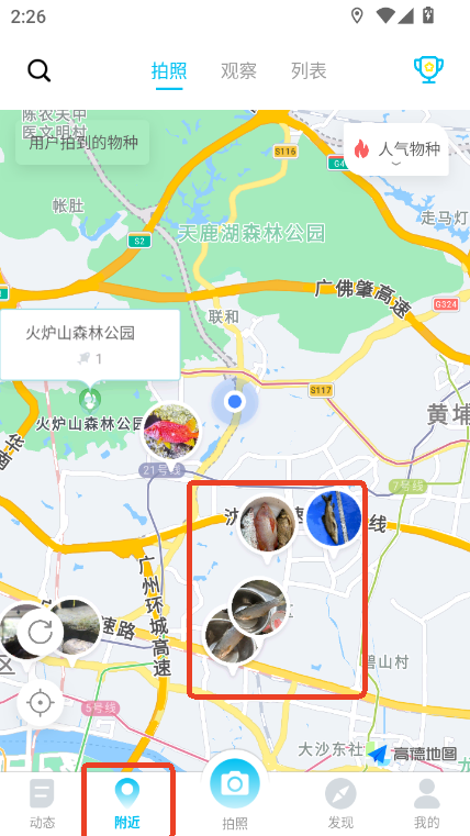 ~app2025֙C(j)汾